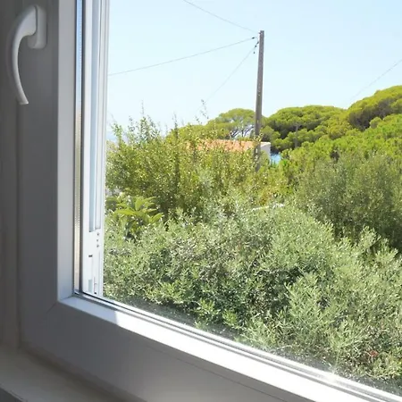 Golden Cliff House *