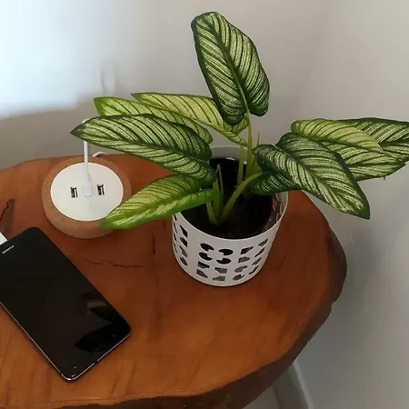 Apartamento Golden Cliff House