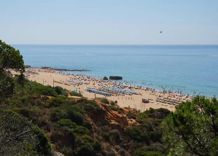 Golden Cliff House 公寓