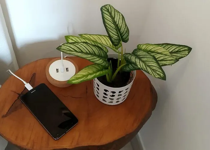 公寓 Golden Cliff House